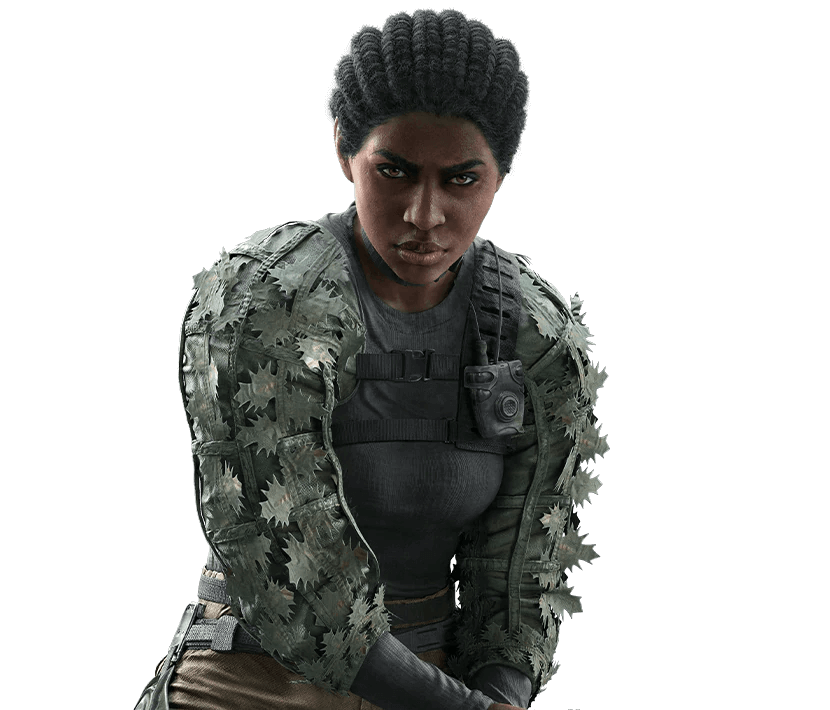 Sledge